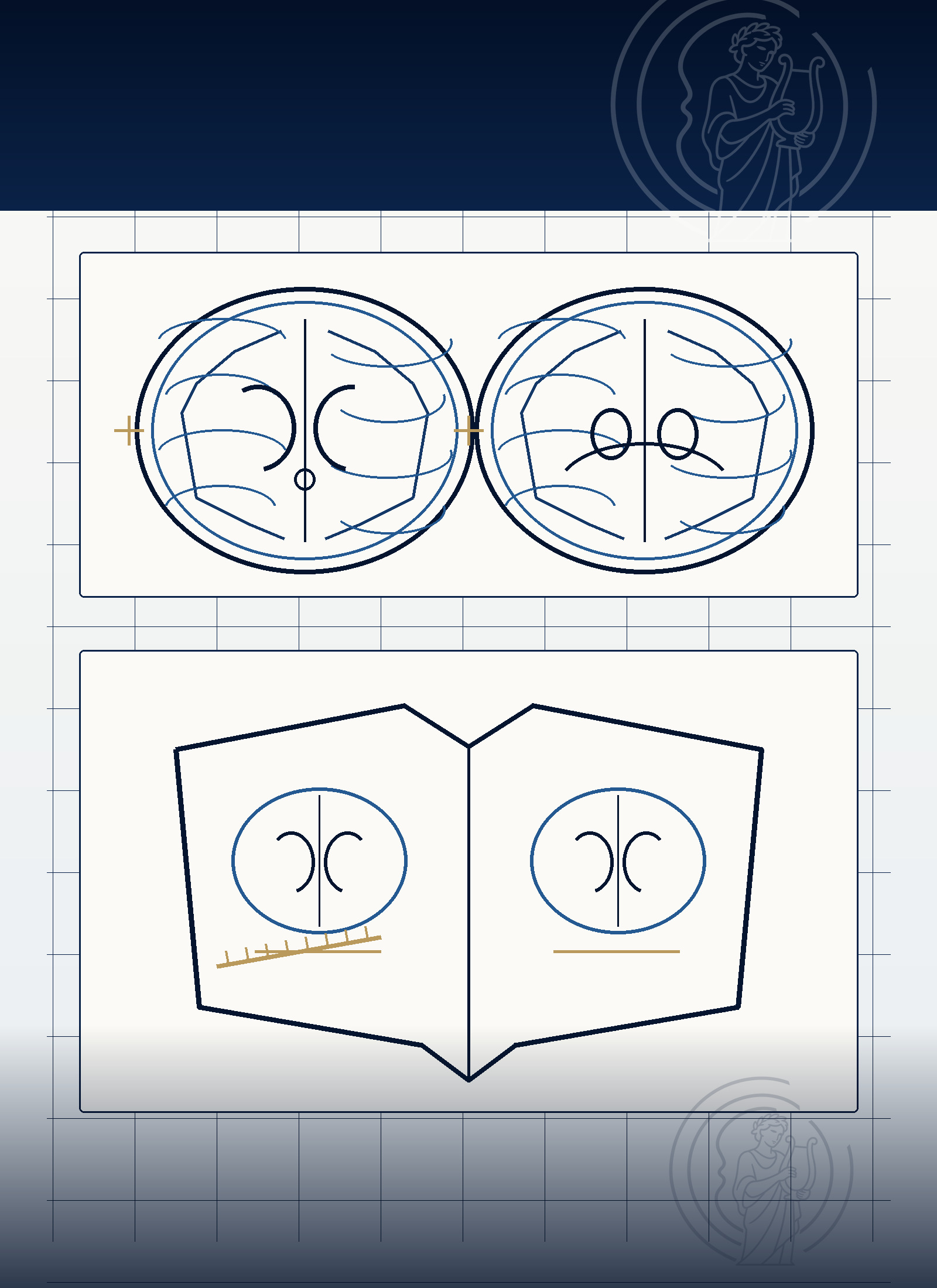 Educational anatomy board with simplified axial brain diagrams and an open atlas